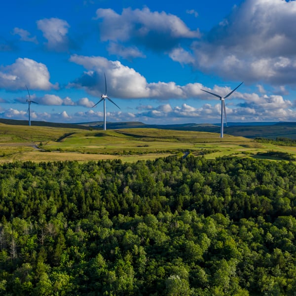 Switch on to the potential of Onshore Wind 