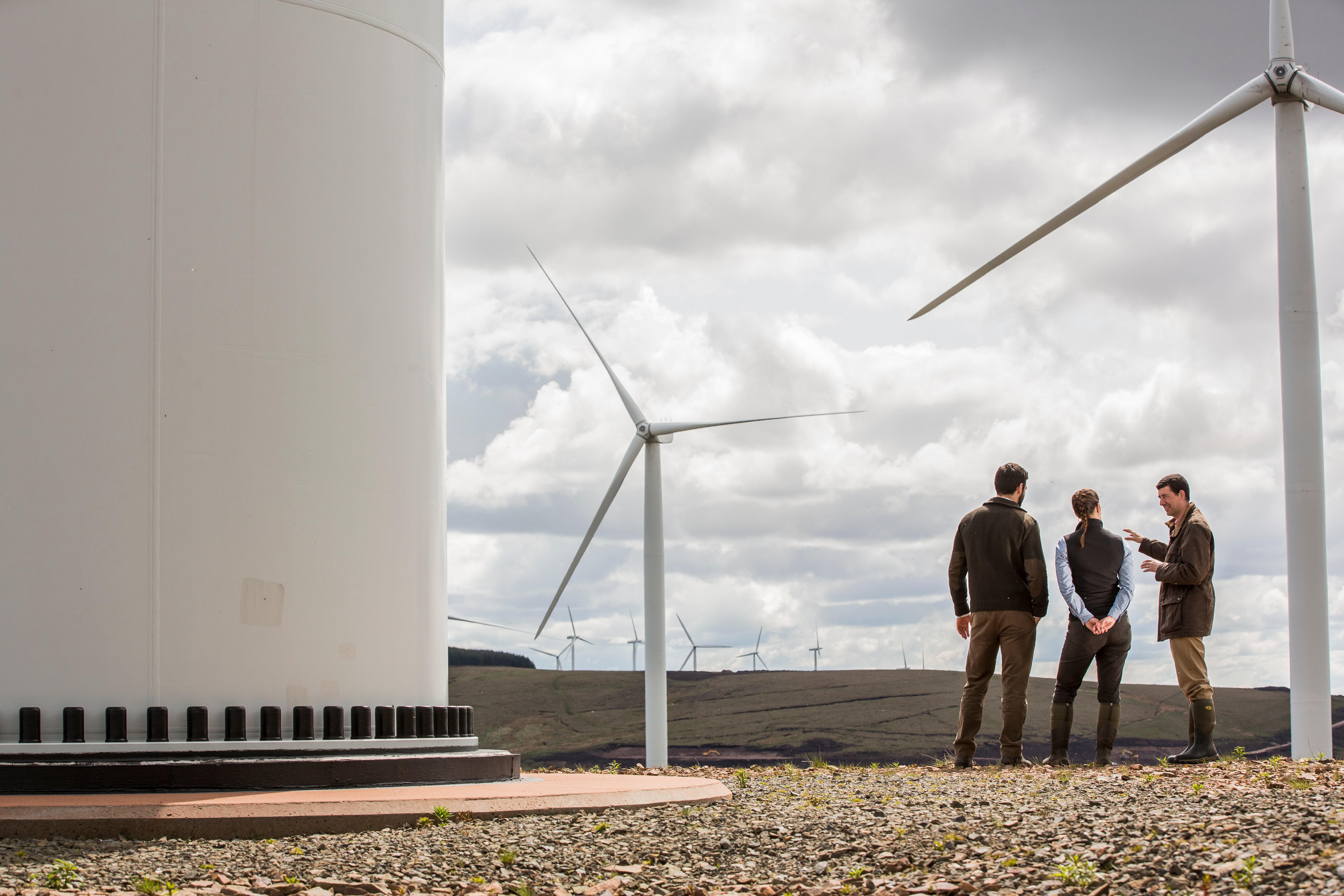 We have unparalleled knowledge across all areas of the renewable energy industry