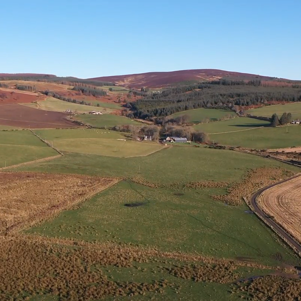 Rural and Forestry Agency in Scotland sees surge in activity
