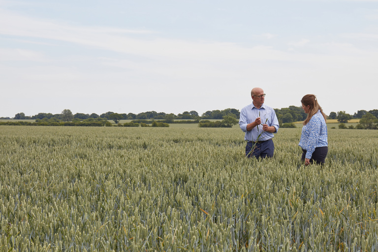 Breaking free from the input-output price dilemma: a guide for arable farmers