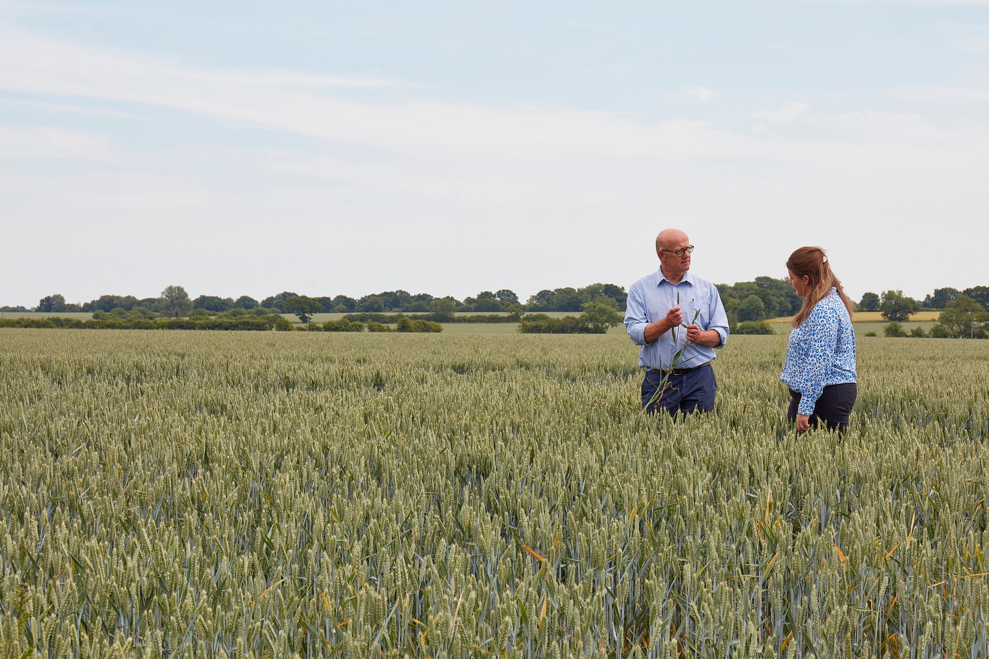 Sustainable Farming Incentive and what it means for farmers and landowners