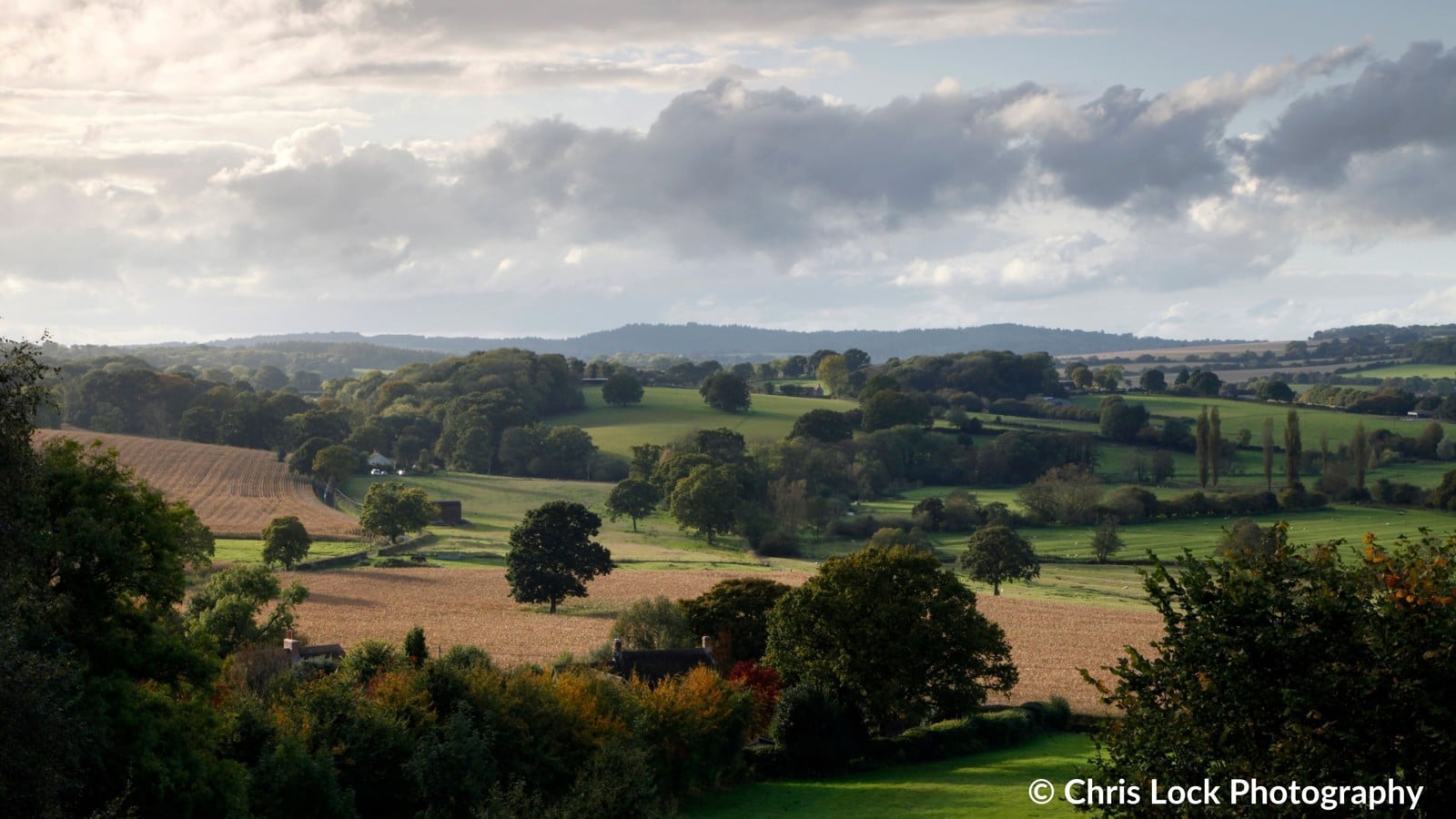 Image of © Chris Lock Photography (4)