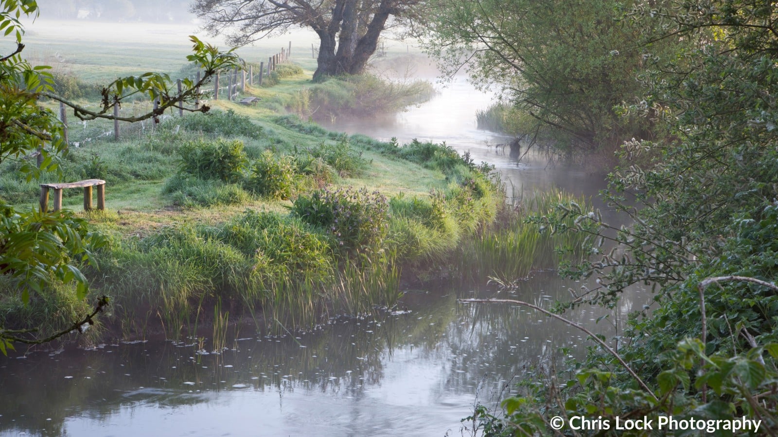 Image of © Chris Lock Photography (5)
