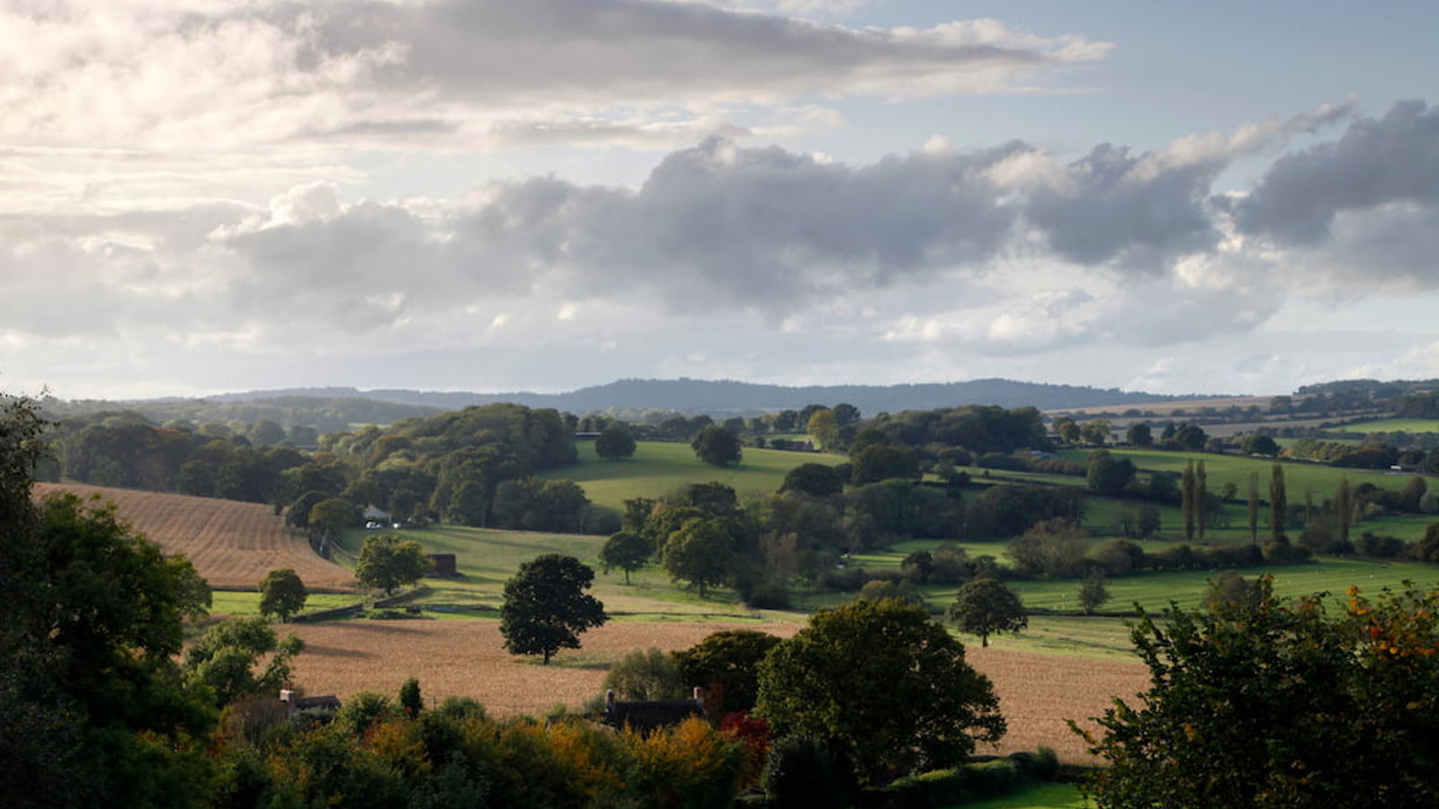 Image of Sutton Mead - Fields
