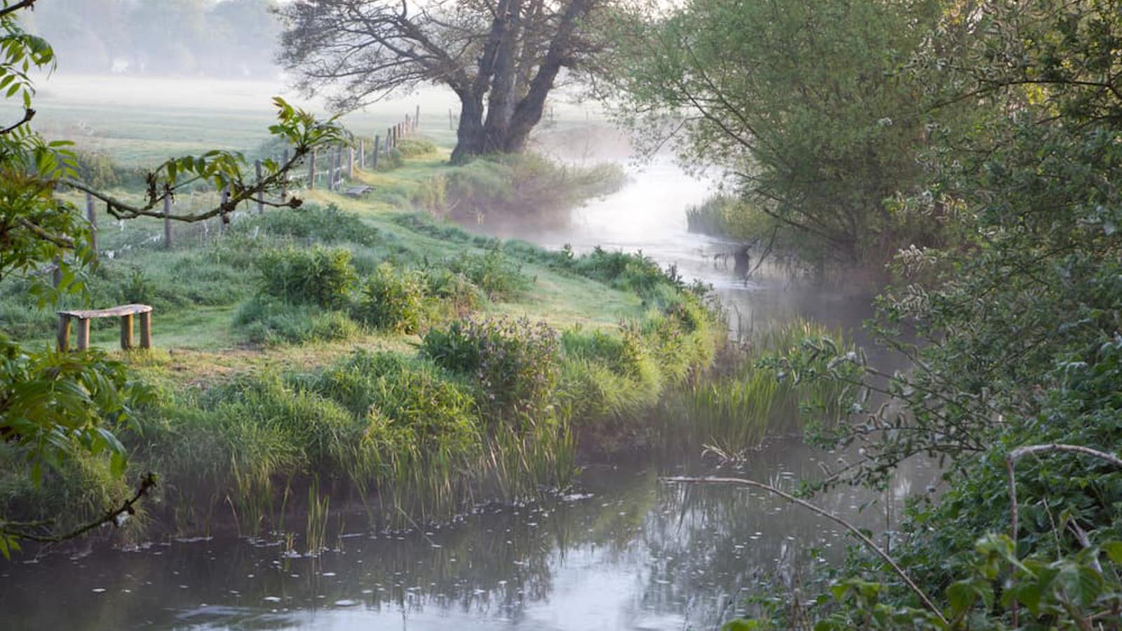 Image of Sutton Mead - River