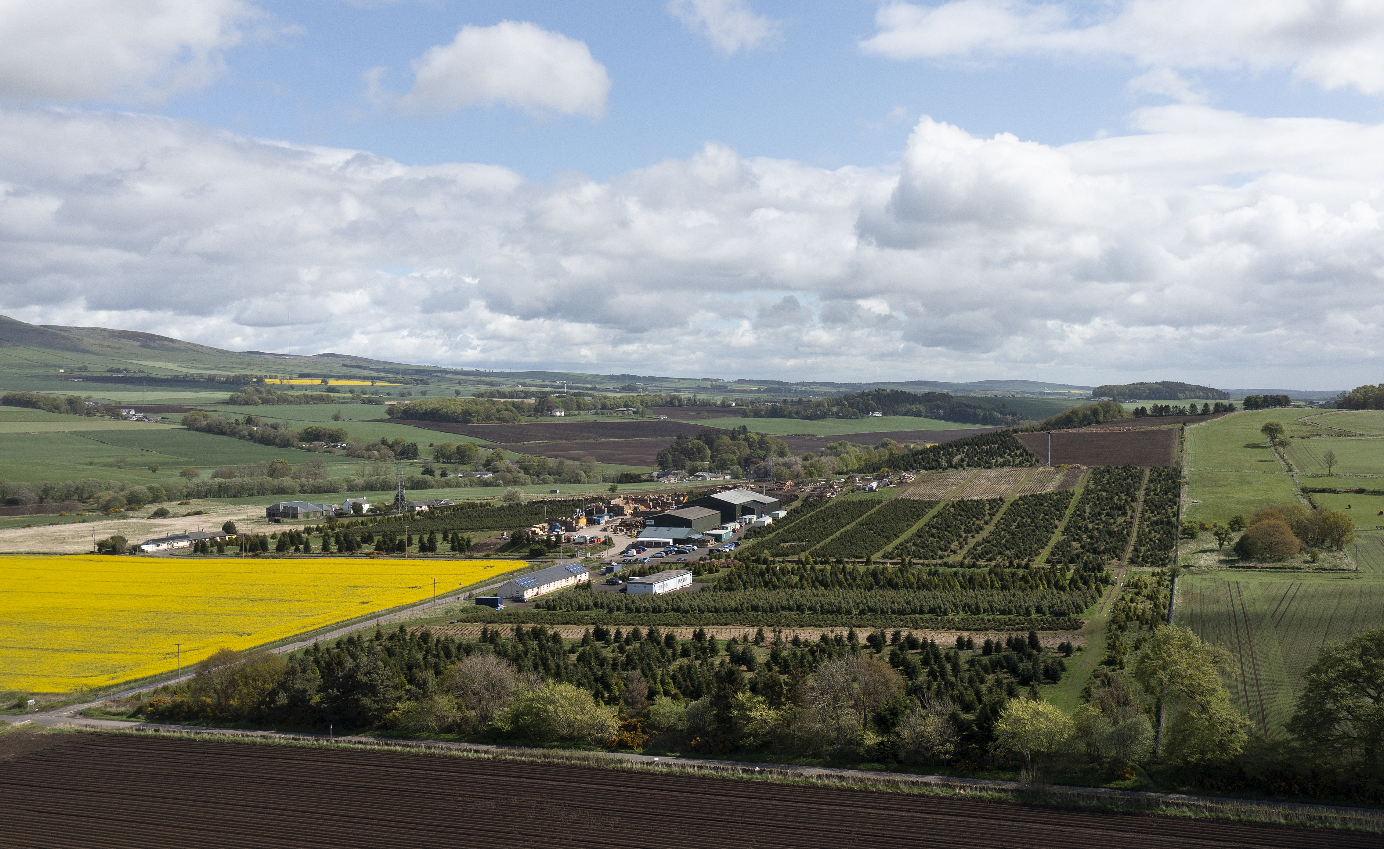 It’s beginning to look a lot like Christmas – Bidwells bring the site of UK’s largest Christmas tree business comes to market