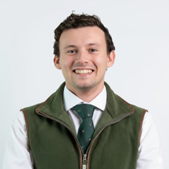 Image of Gemini_Generated_Image_j31e8rj31e8rj31e