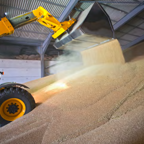 The wider effect of rising agricultural commodities on the farming industry