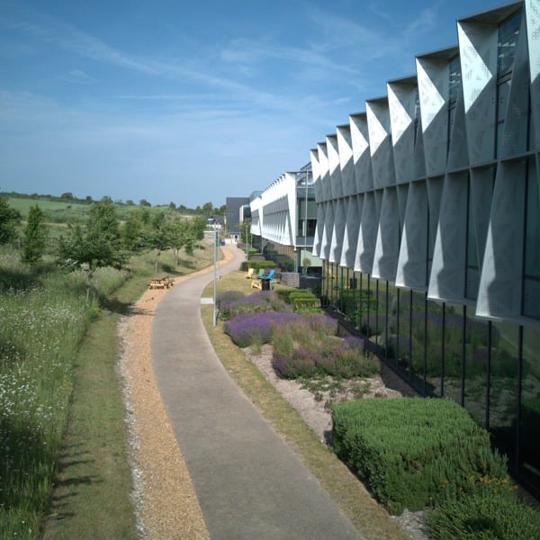 Image of DJI_20250612085607_0054_D