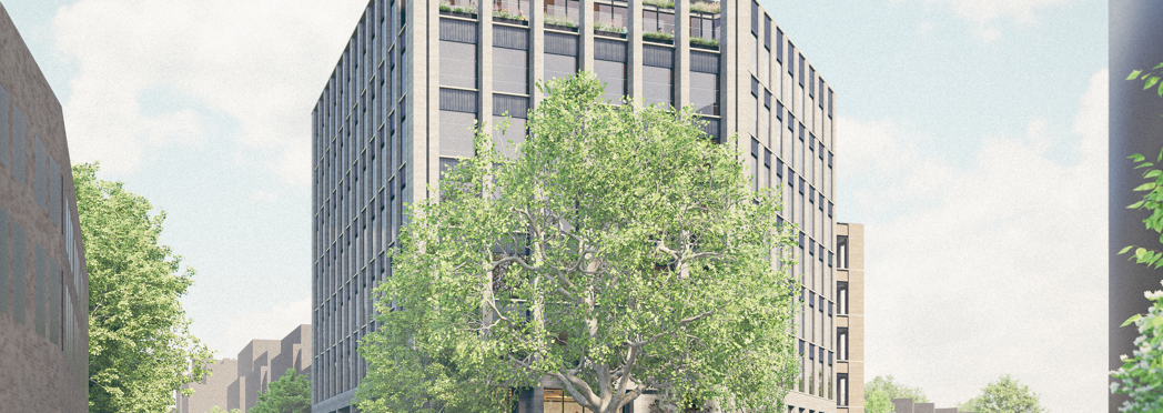 Image of Junction View_trees