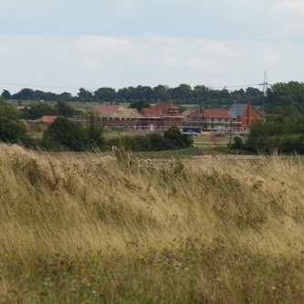 Image of 65