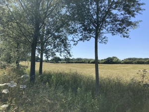 Braintree, Colchester, Maldon picture 4