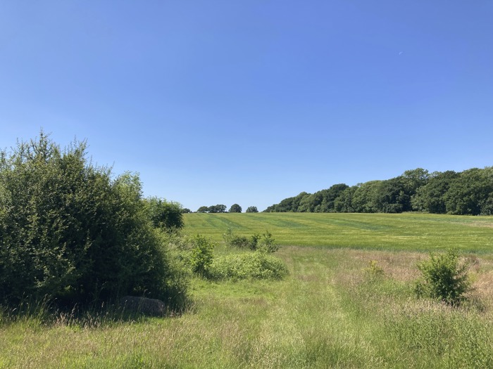 Braxted Park Estate, Great Braxted, Witham CM8 3EM