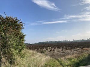 Central Bedfordshire picture 2
