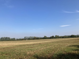 Central Bedfordshire picture 5