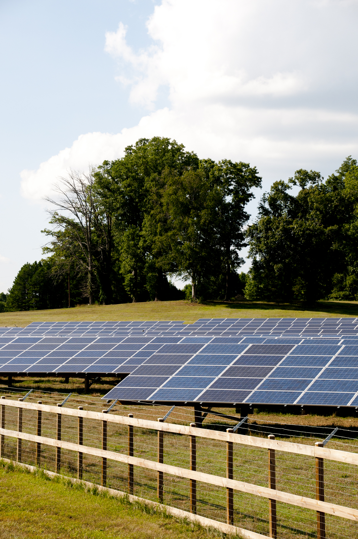 Explore the possibility of a solar farm