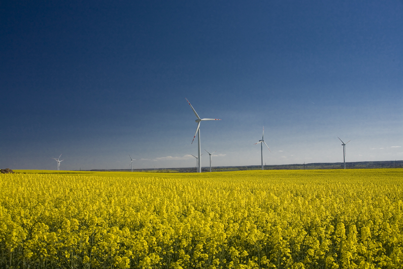 Understand what renewables I could develop on my land