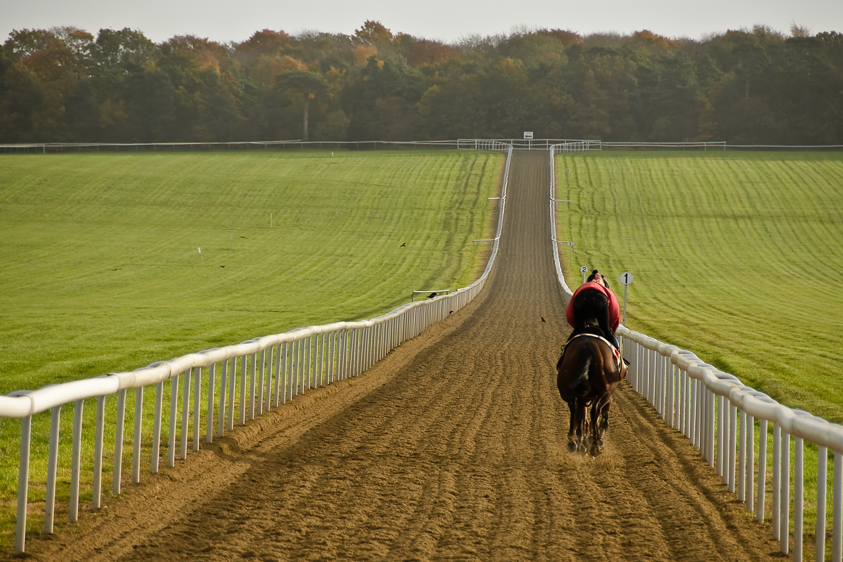 Our work in Newmarket
