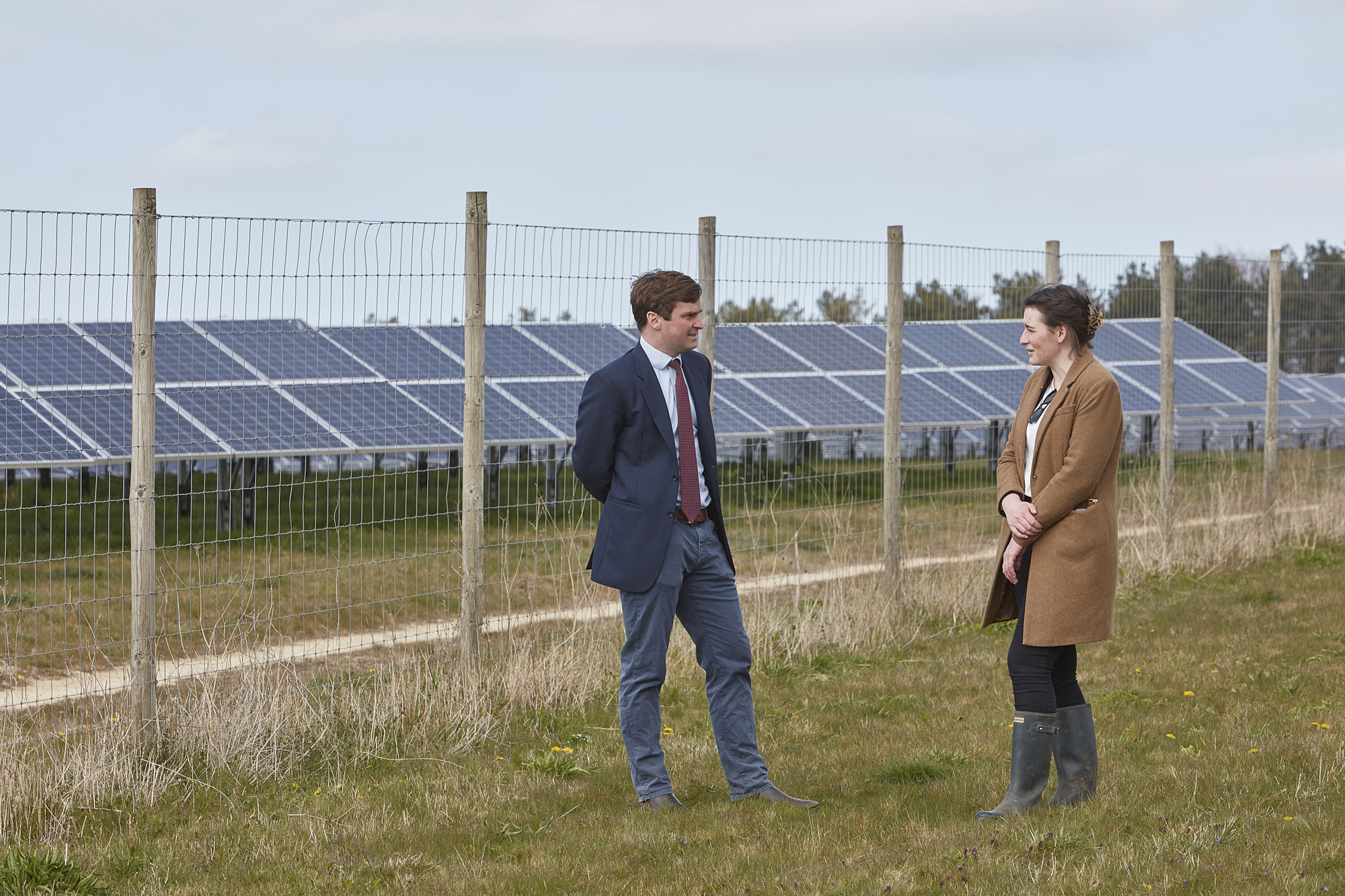 Look at opportunities for energy and renewables on my property
