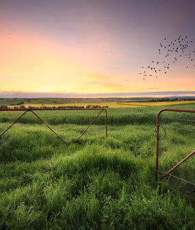 Rural Management