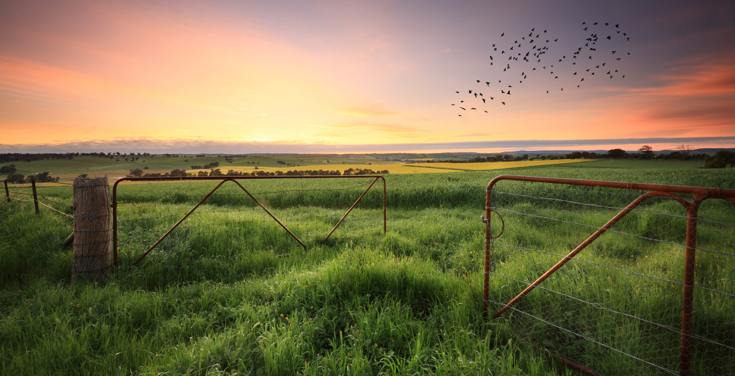 Rural-background2