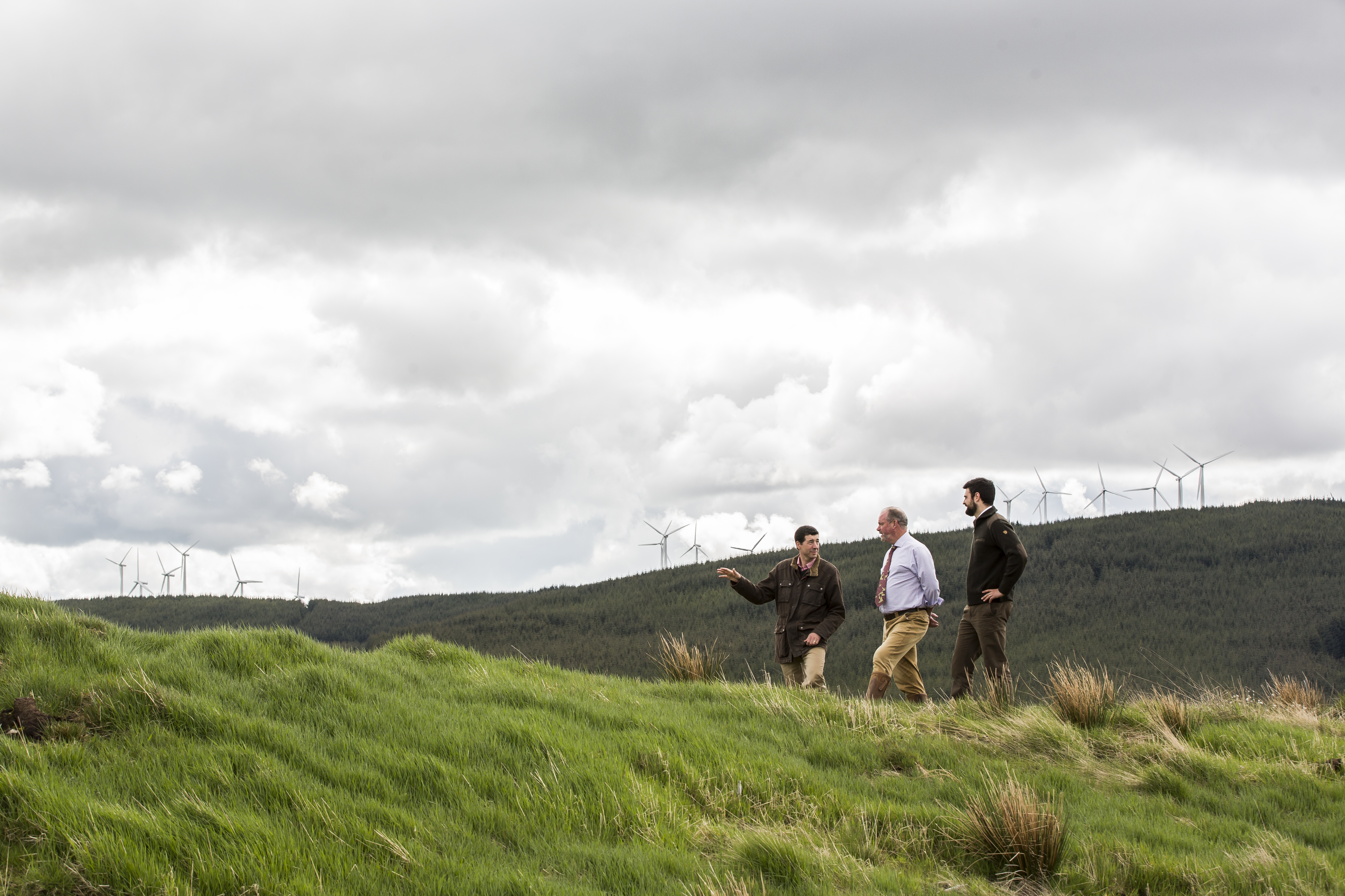 The ESN(F) investment portfolio of forestry and renewable energy assets spans Scotland and northern England