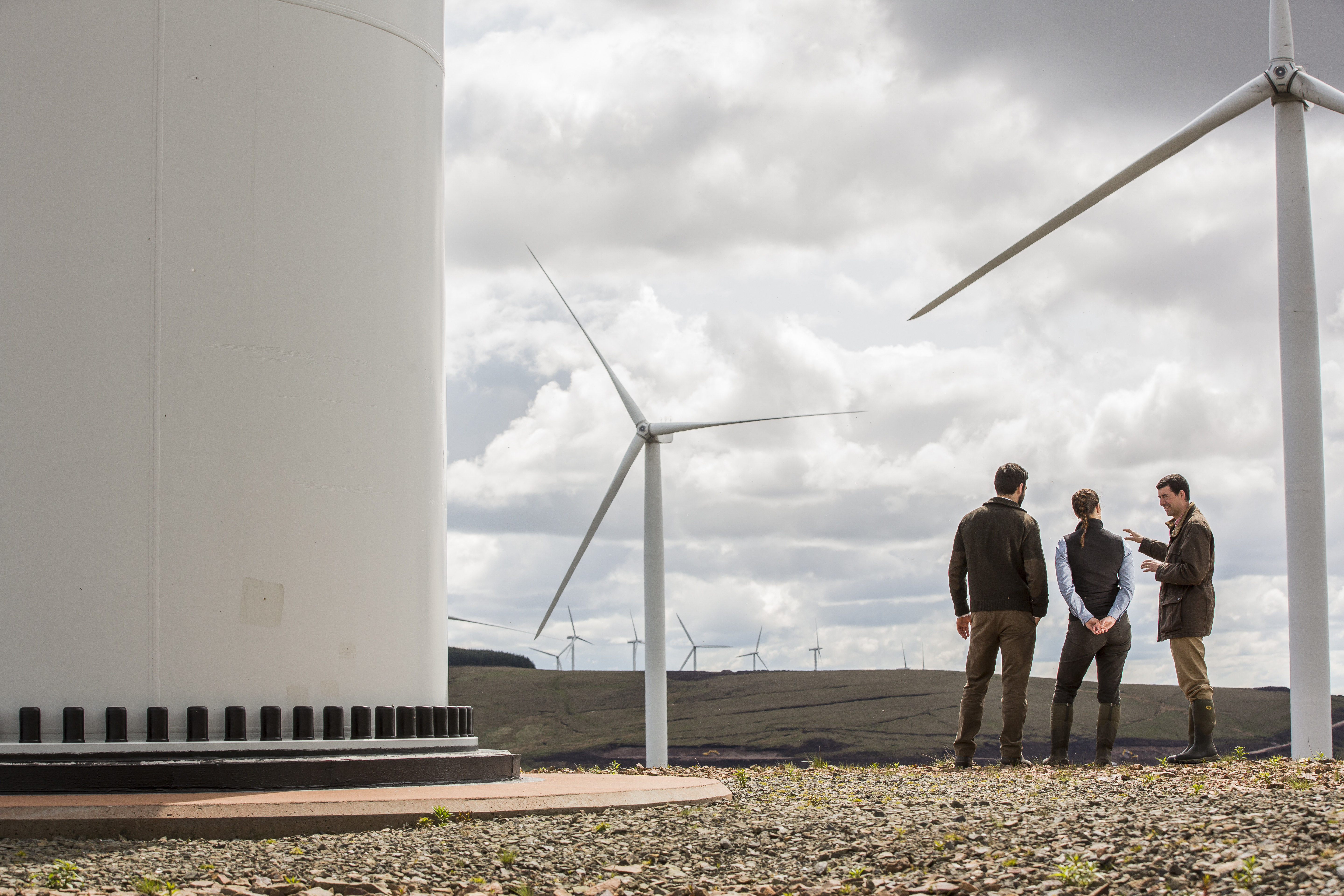 We have unparalleled knowledge across all areas of the renewable energy industry