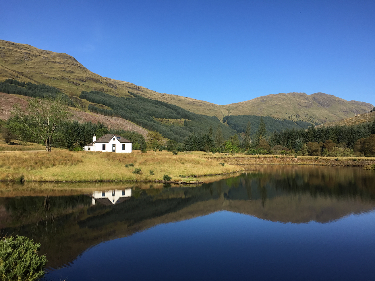 forestry-glen-massan