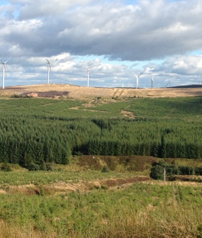 Forestry