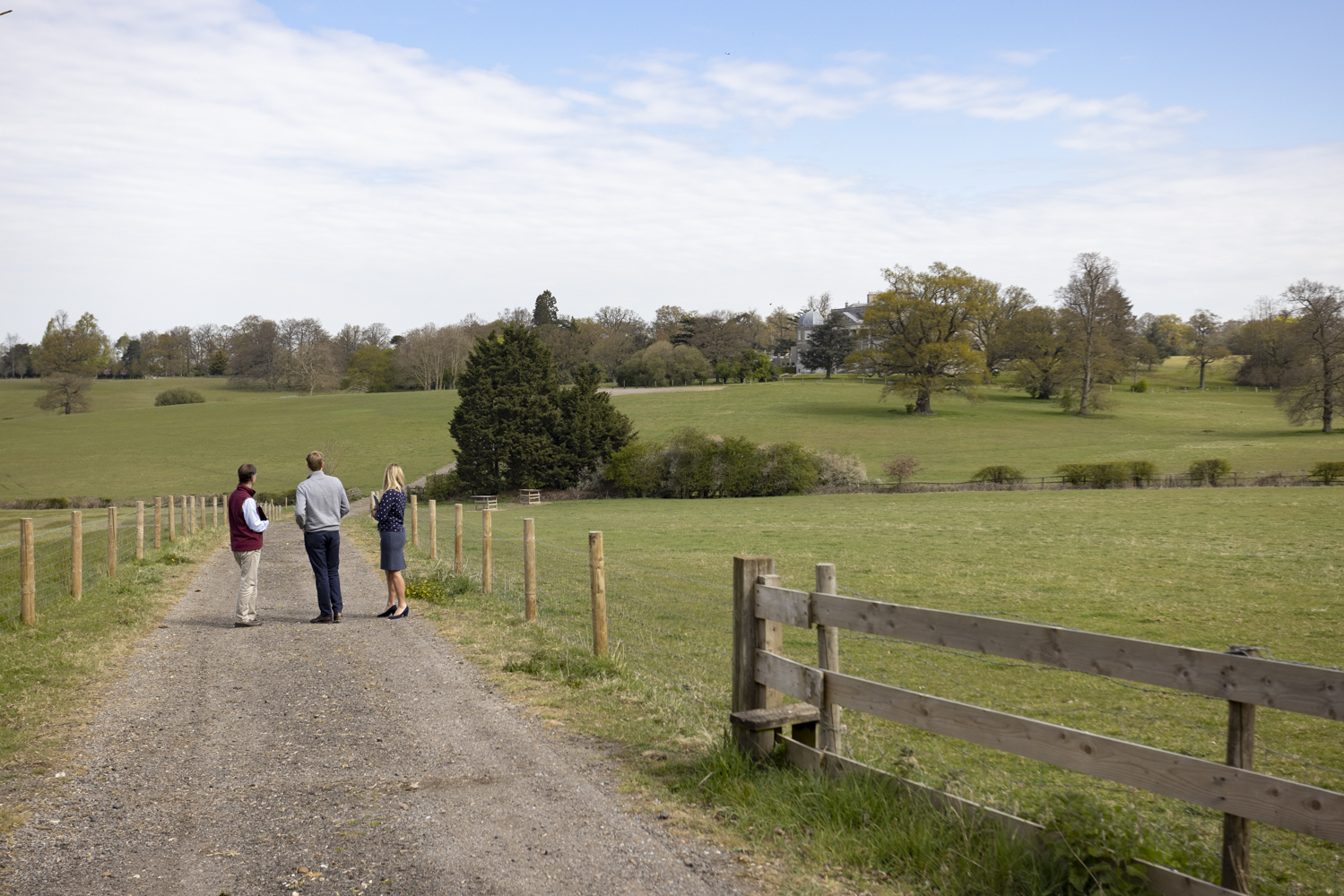 Explore the opportunities around using my land for forestry