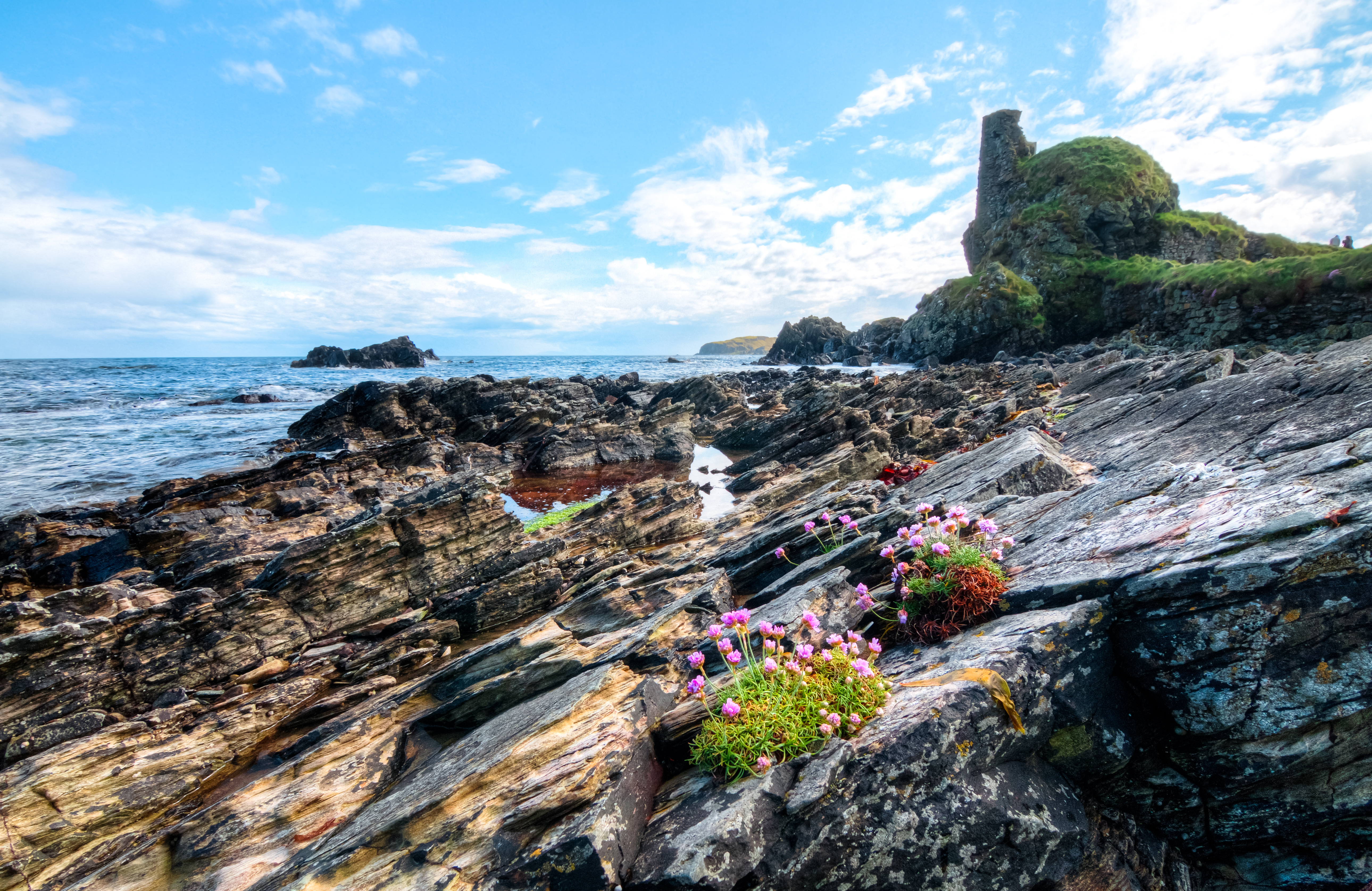 Develop a business in a coastal zone