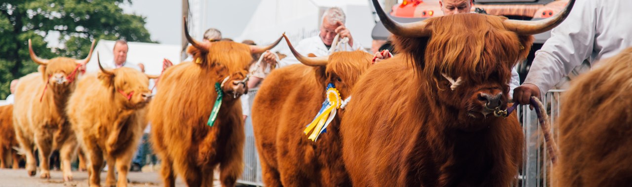 Royal Highland Show - breakfast briefing