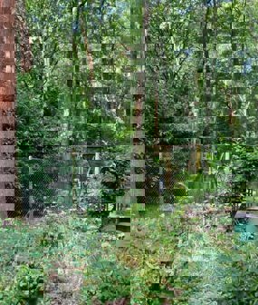 Aldenham Estate, Elstree