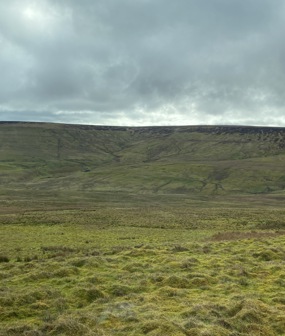 Billingshield Farms Habitat Bank
