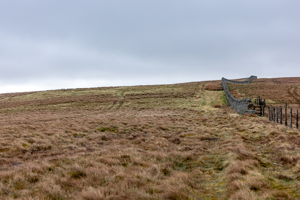 County Durham picture 3