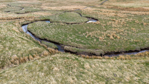 County Durham picture 1