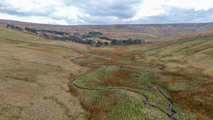 County Durham picture 2