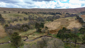 County Durham picture 5