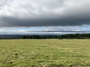 Darlington picture 1