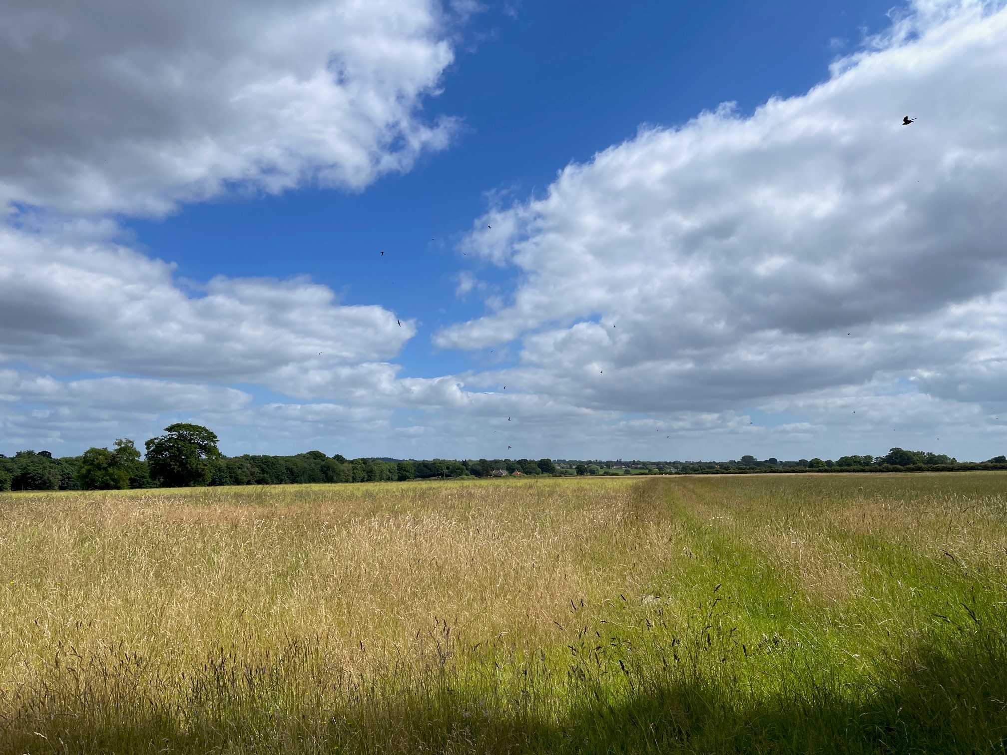 Market Weston, Bury Road, Market Weston, nr Diss, IP22