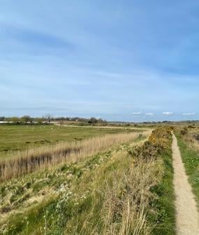 Martlesham Wilds, Church Lane