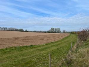 East Suffolk picture 2