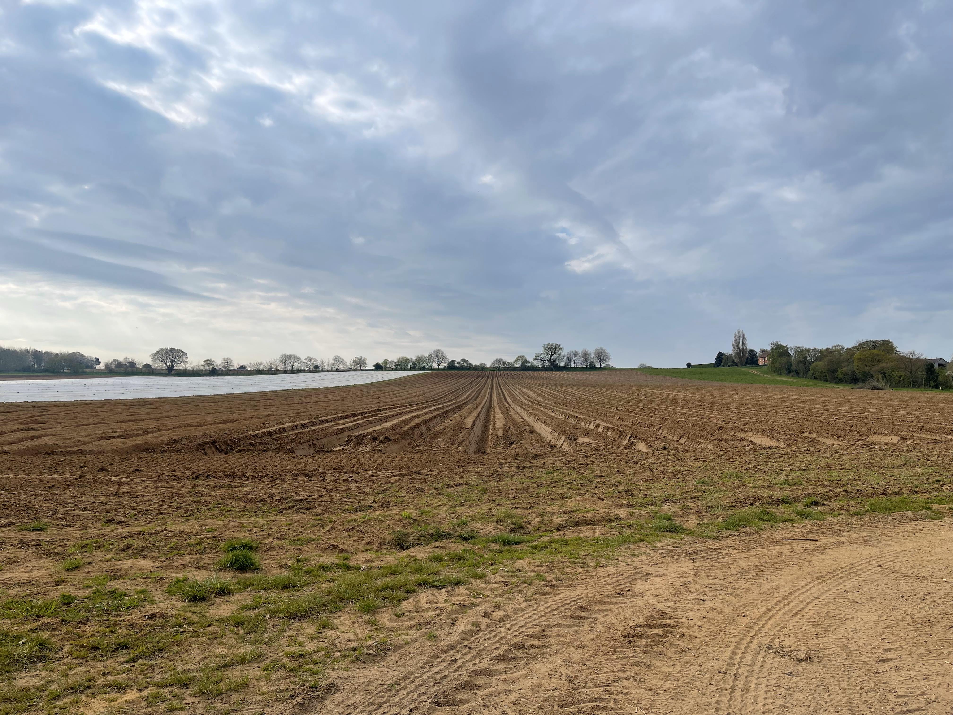 Martlesham Wilds, Church Lane, Martlesham, Ipswich IP12