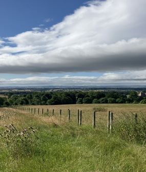 Raby Parkland Habitat Bank