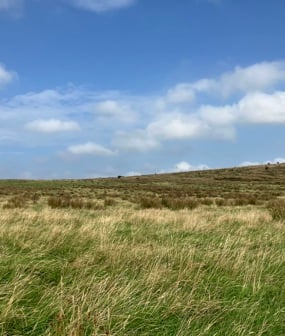 Holkham Nature Initiative