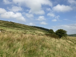 Cornwall picture 1