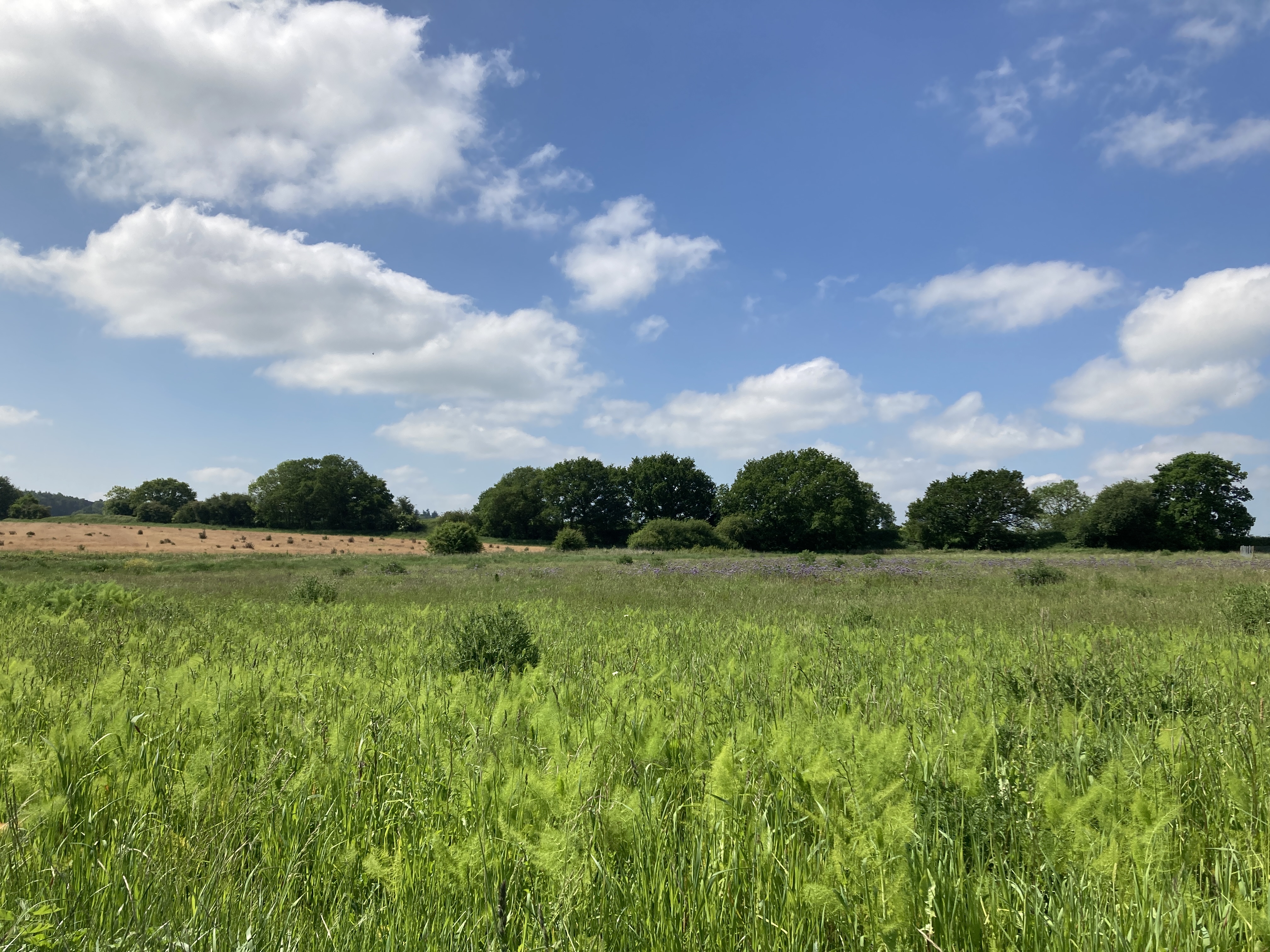 Southill Estate, Biggleswade, SG19 9HL