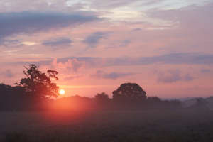 South Downs National Park picture 4