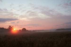 South Downs National Park picture 5