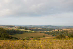 South Downs National Park picture 6